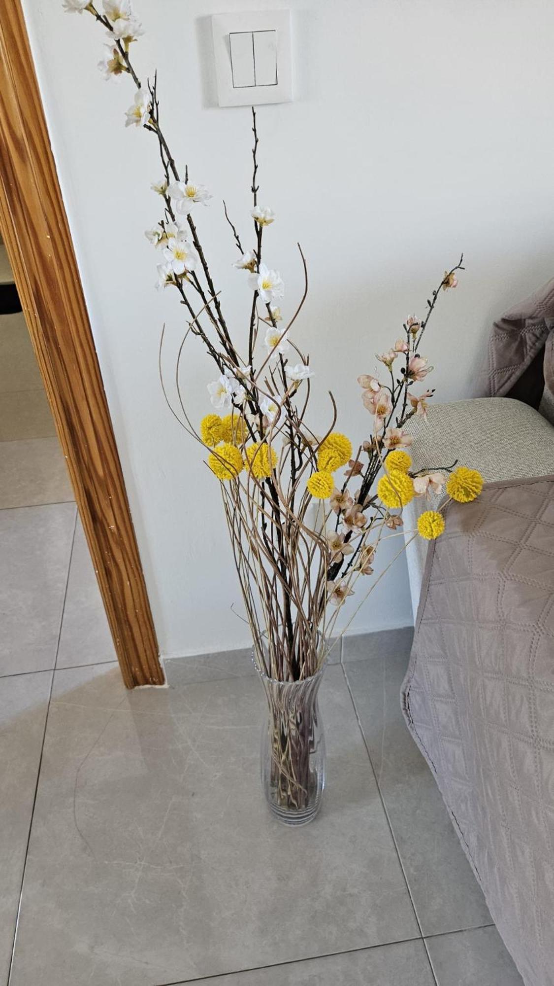 Elegante Apartamento En Playa De Gandia المظهر الخارجي الصورة